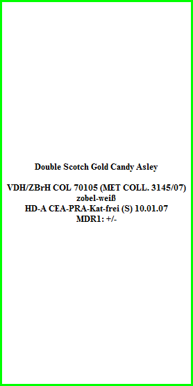 Double Scotch Gold Candy Asley    VDH/ZBrH COL 70105 (MET COLL. 3145/07)  zobel-weiß  HD-A CEA-PRA-Kat-frei (S) 10.01.07  MDR1: +/-