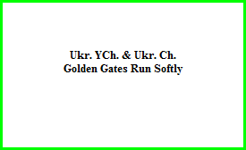 Ukr. YCh. & Ukr. Ch.  Golden Gates Run Softly