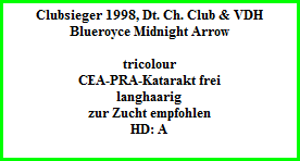 Clubsieger 1998, Dt. Ch. Club & VDH  Blueroyce Midnight Arrow    tricolour  CEA-PRA-Katarakt frei  langhaarig  zur Zucht empfohlen  HD: A