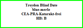 Troydon Blind Date  blue-merle  CEA-PRA-Katarakt-frei  HB: B