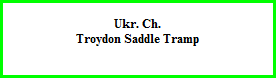 Ukr. Ch.  Troydon Saddle Tramp