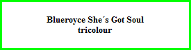 Blueroyce She´s Got Soul  tricolour
