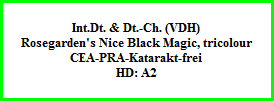 Int.Dt. & Dt.-Ch. (VDH)  Rosegarden's Nice Black Magic, tricolour  CEA-PRA-Katarakt-frei  HD: A2