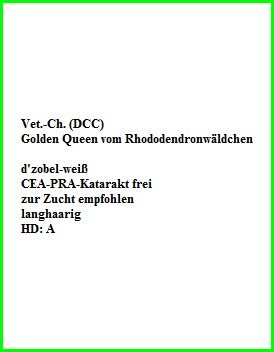 Vet.-Ch. (DCC)  Golden Queen vom Rhododendronwäldchen    d'zobel-weiß  CEA-PRA-Katarakt frei  zur Zucht empfohlen  langhaarig  HD: A