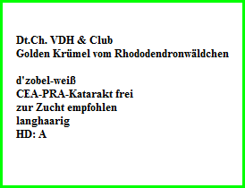Dt.Ch. VDH & Club  Golden KrÃ¼mel vom RhododendronwÃ¤ldchen    d'zobel-weiÃŸ  CEA-PRA-Katarakt frei  zur Zucht empfohlen  langhaarig  HD: A