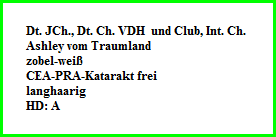 Dt. JCh., Dt. Ch. VDH  und Club, Int. Ch.   Ashley vom Traumland   zobel-weiÃŸ  CEA-PRA-Katarakt frei  langhaarig  HD: A