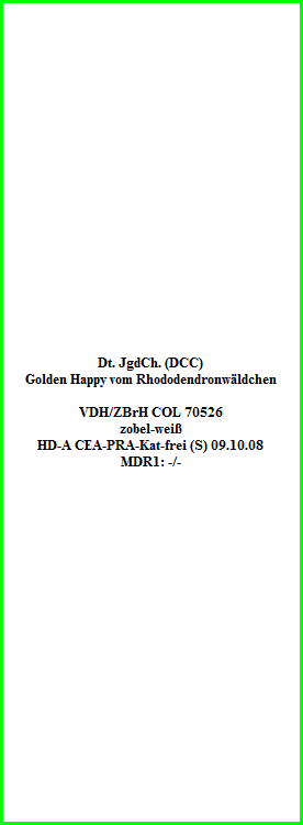 Dt. JgdCh. (DCC)  Golden Happy vom Rhododendronwäldchen    VDH/ZBrH COL 70526  zobel-weiß  HD-A CEA-PRA-Kat-frei (S) 09.10.08  MDR1: -/-