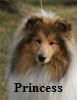 Hunde08032014 239Princessa100