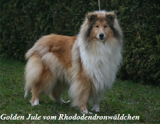 Hunde27032016 305a350