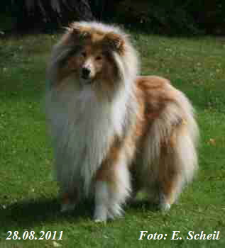 Jule Asley 28082011 002aH350