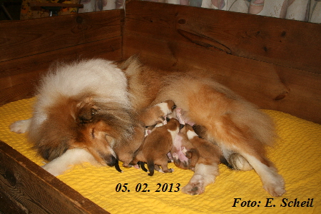 PWur 05022013 1Wo 029